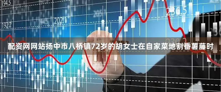 配资网网站扬中市八桥镇72岁的胡女士在自家菜地割番薯藤时