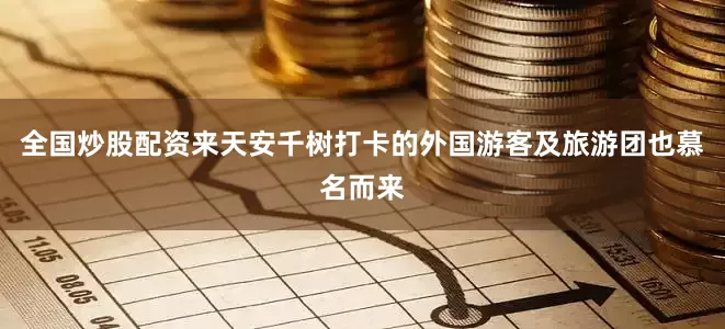全国炒股配资来天安千树打卡的外国游客及旅游团也慕名而来
