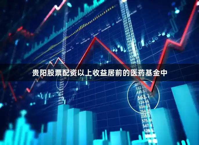 贵阳股票配资以上收益居前的医药基金中