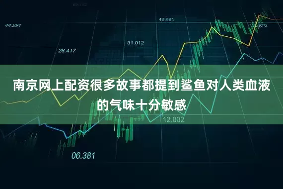 南京网上配资很多故事都提到鲨鱼对人类血液的气味十分敏感