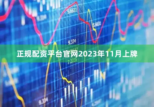 正规配资平台官网2023年11月上牌