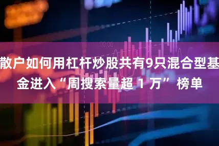 散户如何用杠杆炒股共有9只混合型基金进入“周搜索量超 1 万” 榜单
